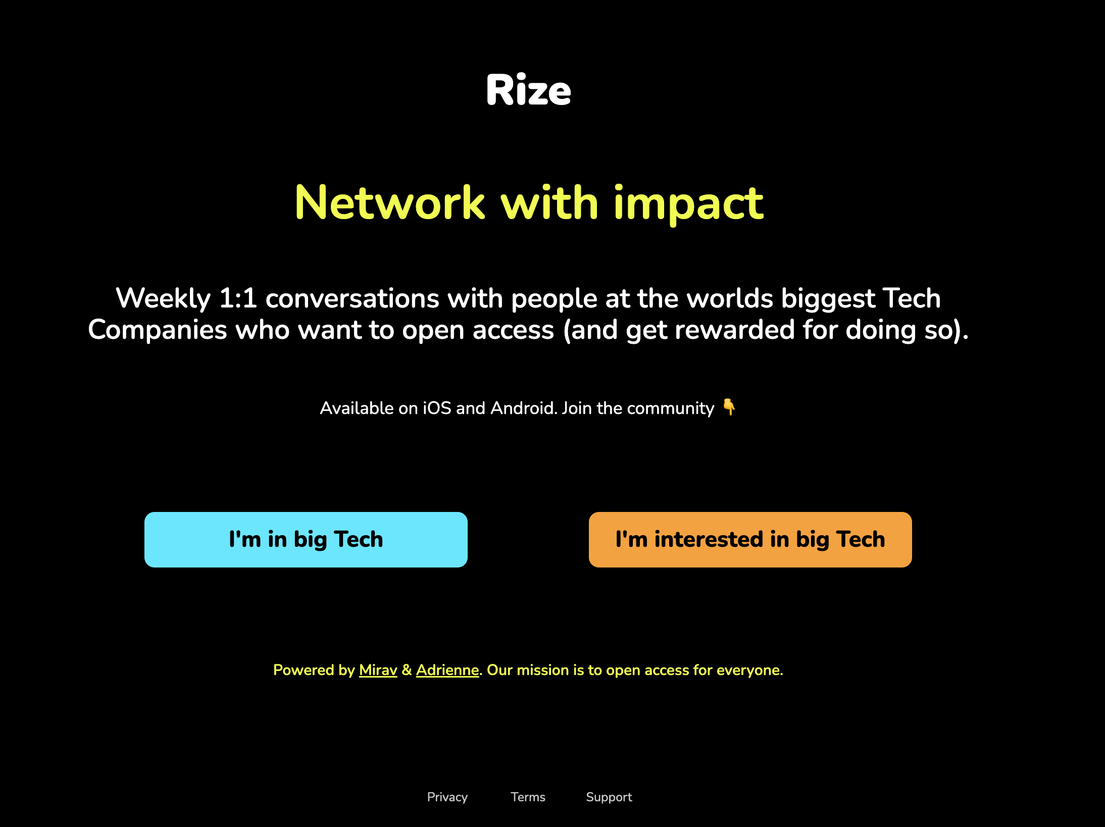 Rize marketing website